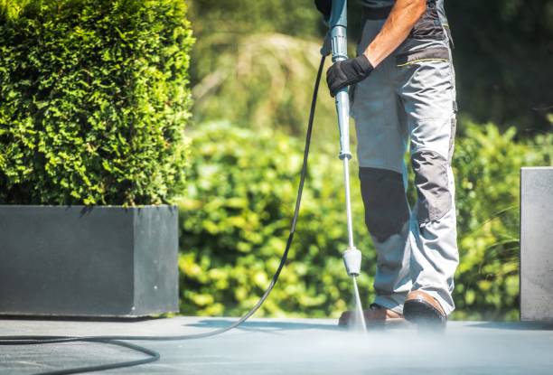Best Solar Panel Cleaning  in Flower Mound, TX