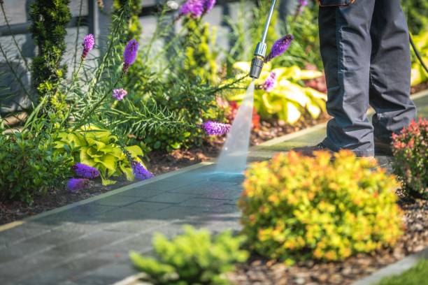Best House Exterior Washing  in Flower Mound, TX